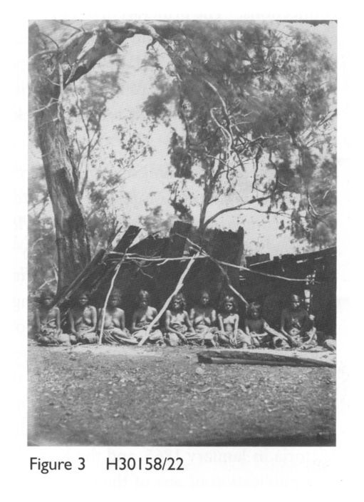 Figure 4 H30158/23 Long bark shelter scene