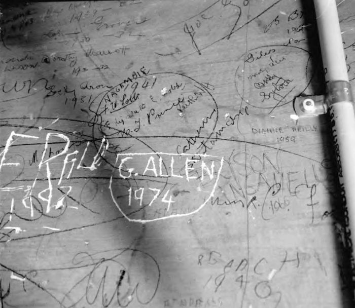 Photograph of detail of a plaster wall covered with handwritten graffiti, on a landing at the base of the dome at the State Library of Victoria. [photograph]
