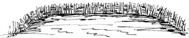 Figure 8 Stake and branch fishing weir, tributary of the Hopkins River (Robinson journal, 24 April 1841). Courtesy of the Mitchell Collection, State Library of New South Wales. [drawing]