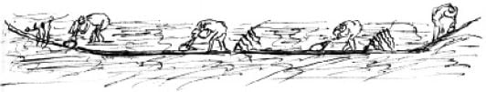 Figure 9 Section of a large stake, branch and basket fishing weir, Moyne River, during use. Eels are being removed from baskets (arrabine) and strung on a nearby holding stick (lengeer) (Robinson journal, 30 April 1841). Courtesy of the Mitchell Collection, State Library of New South Wales. [drawing]