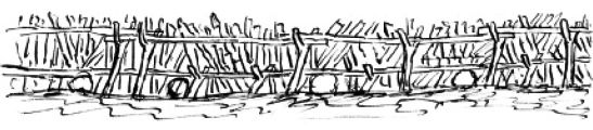 Figure 11 Detail of back of a large stake, branch and basket fishing weir, Moyne River (Robinson journal, 30 April 1841). Courtesy of the Mitchell Collection, State Library of New South Wales. [drawing]