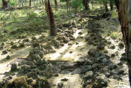 Figure 20 Finished excavation across channel, Muldoons Trap Complex, Lake Condah, 2008, looking west (Photo: Ian J. McNiven). [photograph]