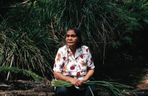 Angela Lynkushka(1947- ), photographer Portrait of Elder Eadie Terrick, 2006 Digital photograph, Picture Collection, H2007.122/1 [photograph]