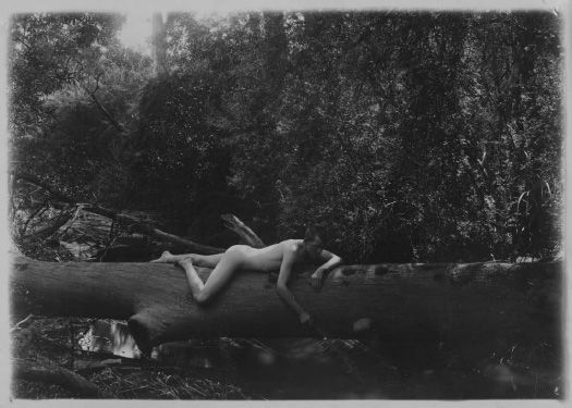 The Smith Family Album: ‘Taking sun bath’. [Photo album]