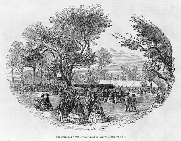 Botanic Gardens-the flower show. Wood engraving, Illustrated Melbourne Post, April 1862. [Wood engraving]